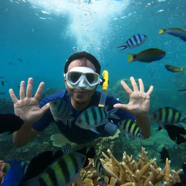 someone-snorgling-near-a-coral-reef-with-fish-in-t-2025-02-09-14-35-31-utc-1.webp